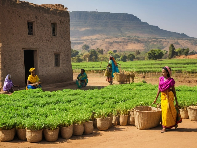 Ethiopian Jobs: Exploring Livelihoods in Ethiopia